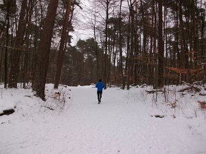 Crosslauf Bergedorf 019